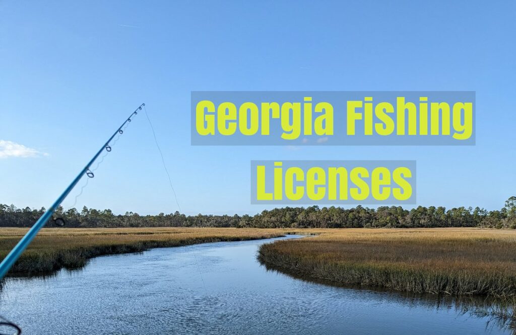 Georgia fishing licenses