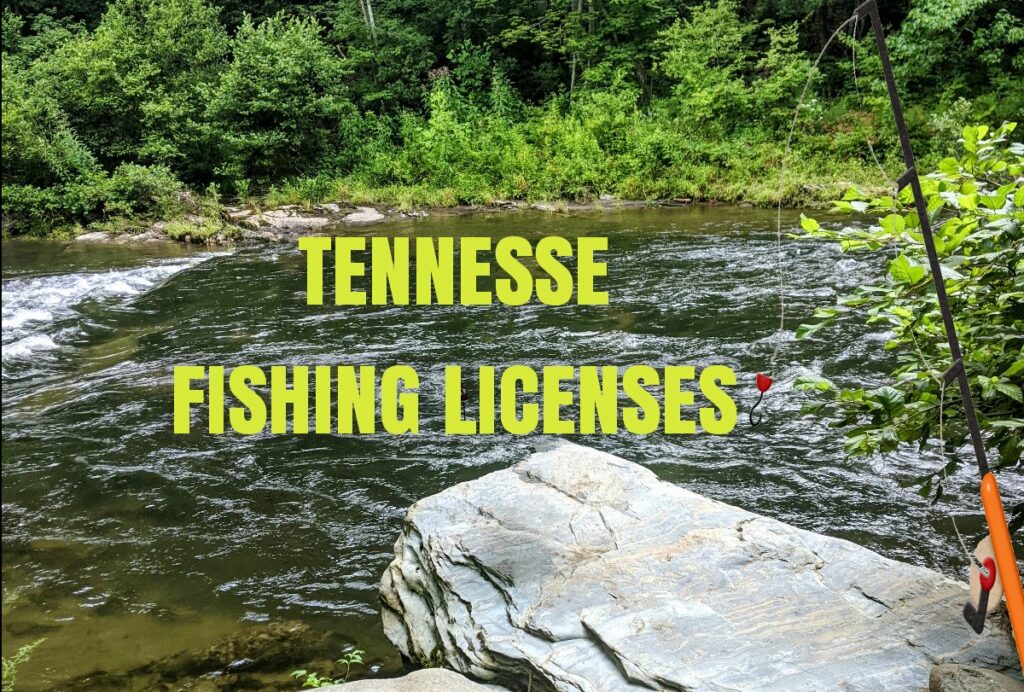 How much are TN fishing licenses? (Photo of Telico River)