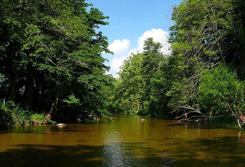 Watauga River