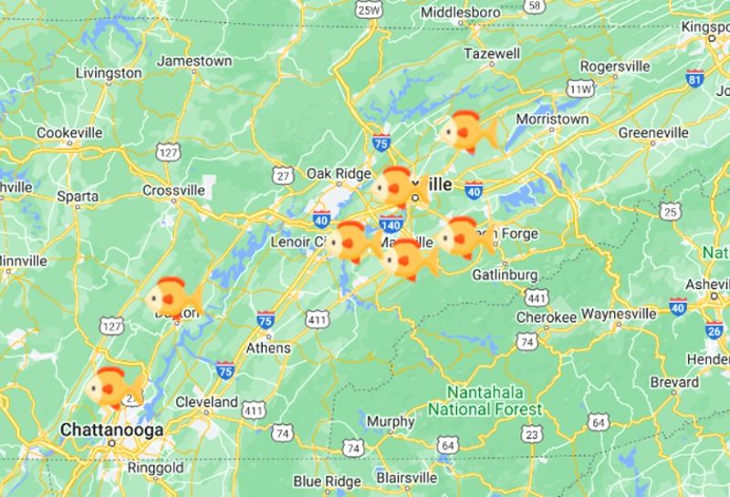 Best Trout fishing in East Tennesseene - Map