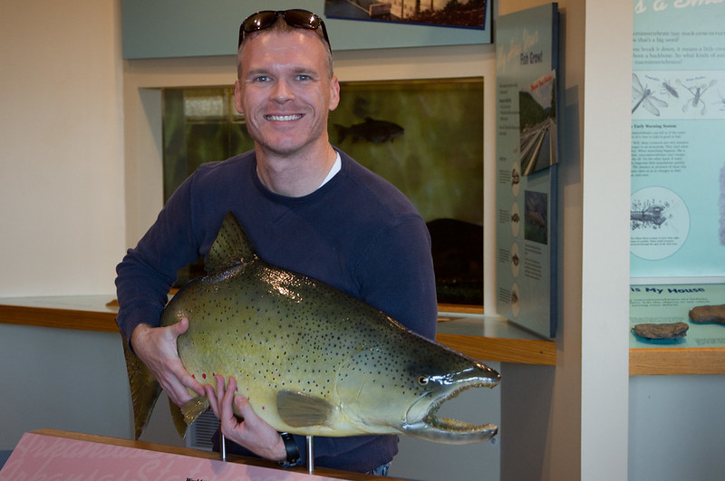 World record brown trout